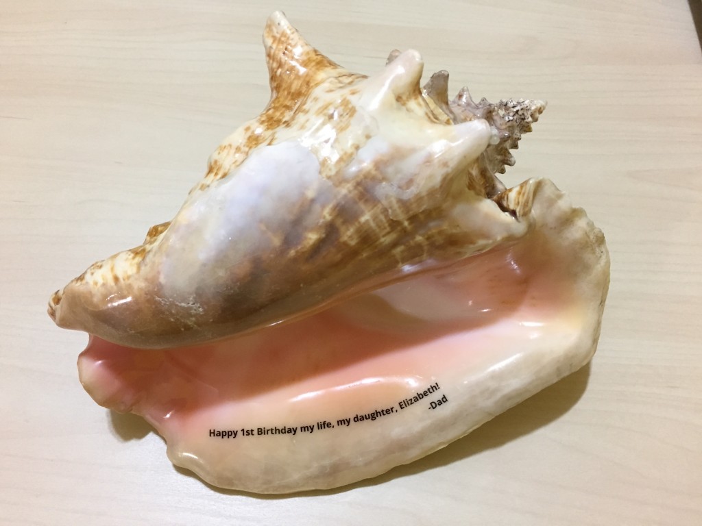 sea shell  laser engraving  gifts antiques